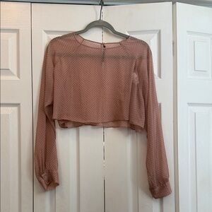 Zara Blush Pink Sheer Blouse